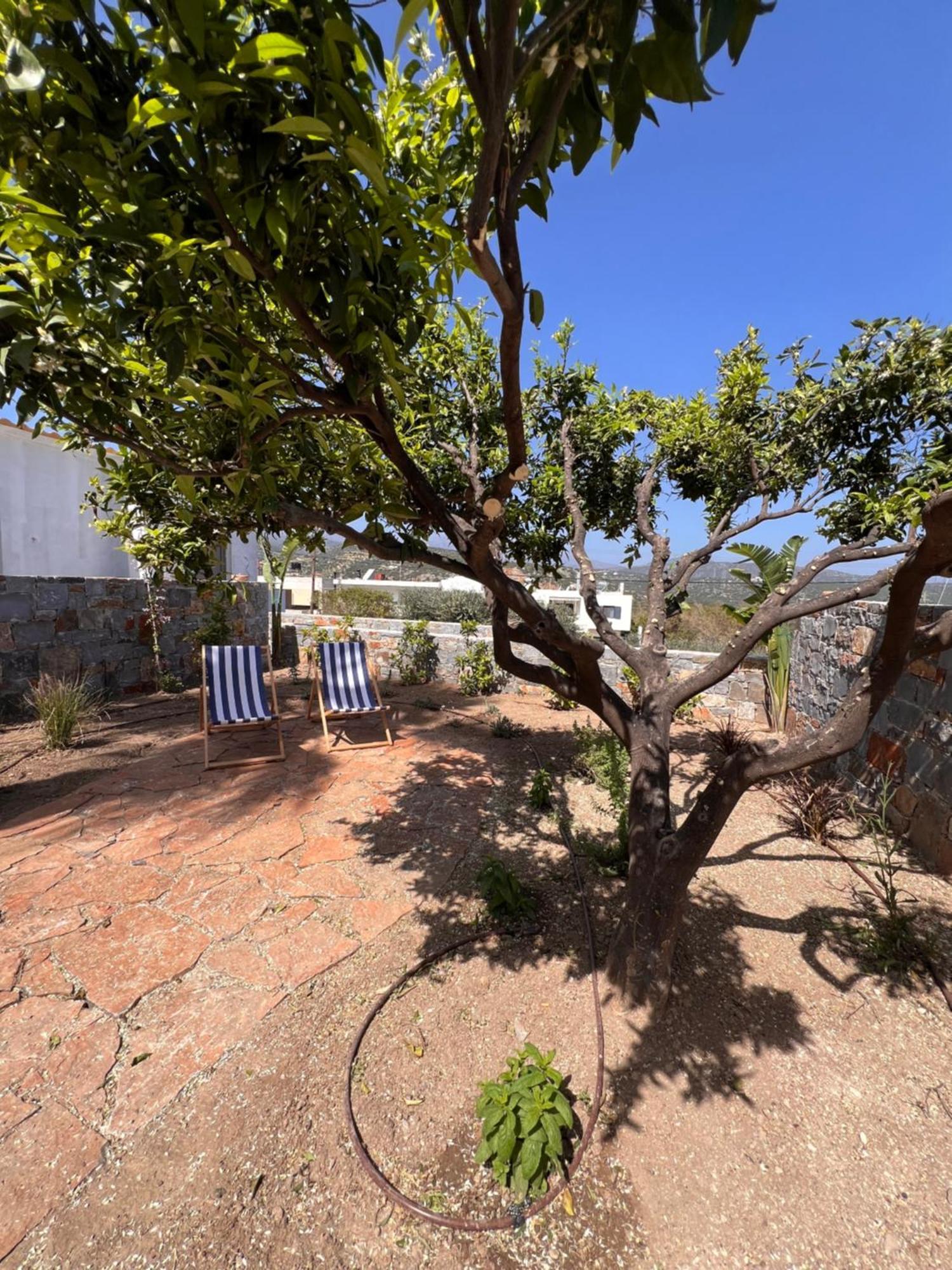 Gioma Garden Villas Istron Buitenkant foto