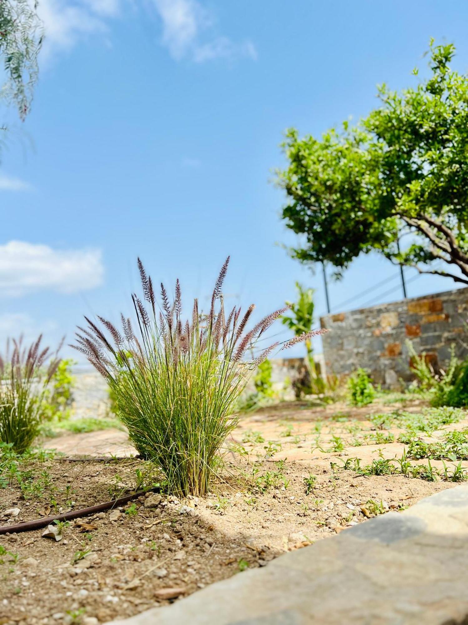 Gioma Garden Villas Istron Buitenkant foto