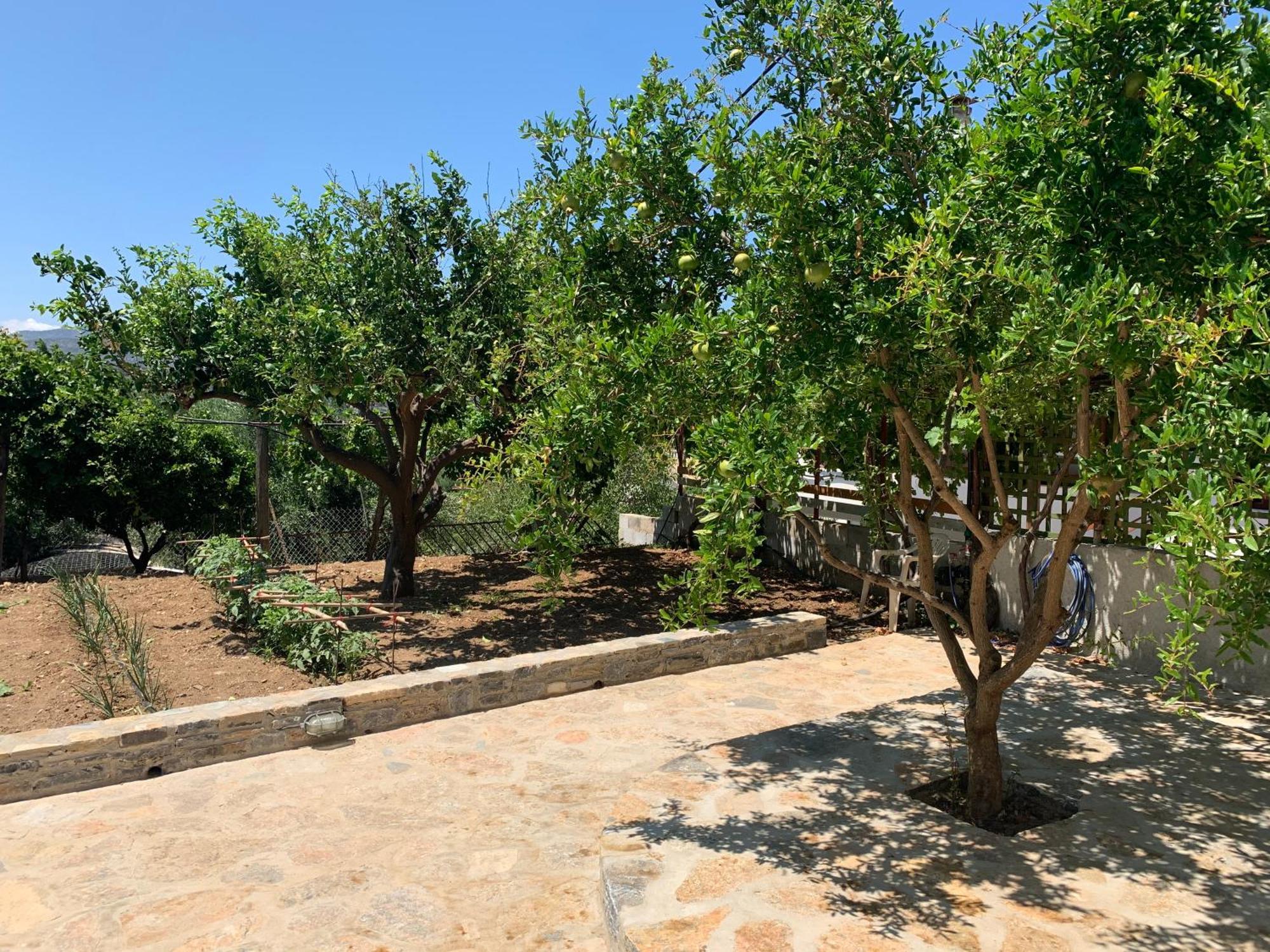 Gioma Garden Villas Istron Buitenkant foto