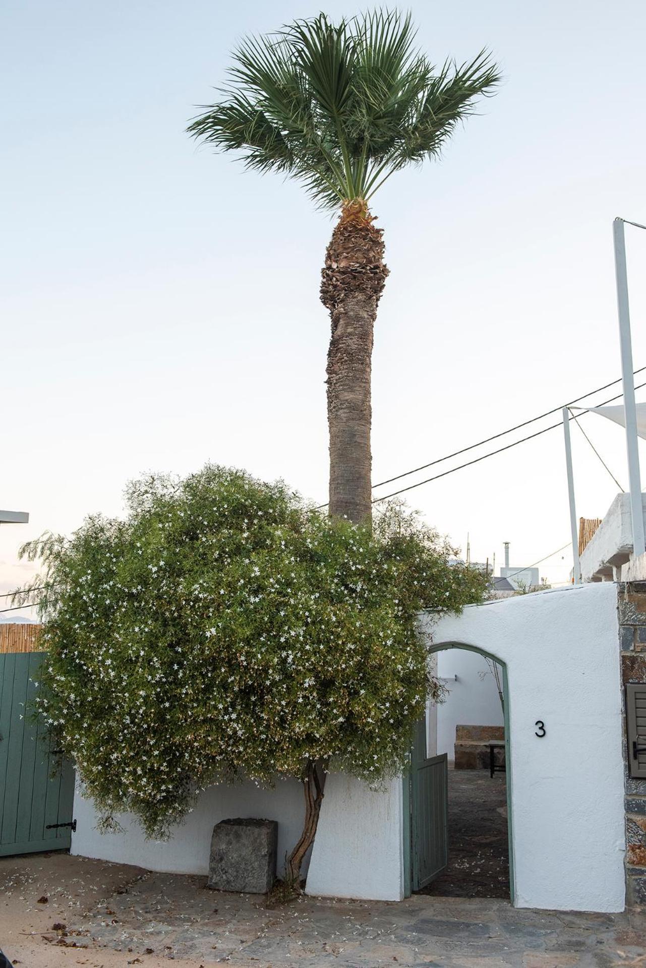 Gioma Garden Villas Istron Buitenkant foto